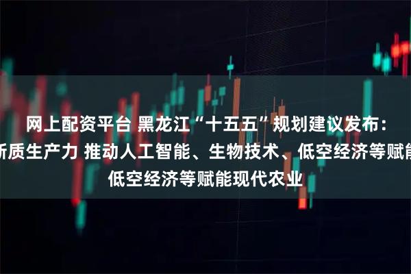 网上配资平台 黑龙江“十五五”规划建议发布：培育农业新质生产力 推动人工智能、生物技术、低空经济等赋能现代农业